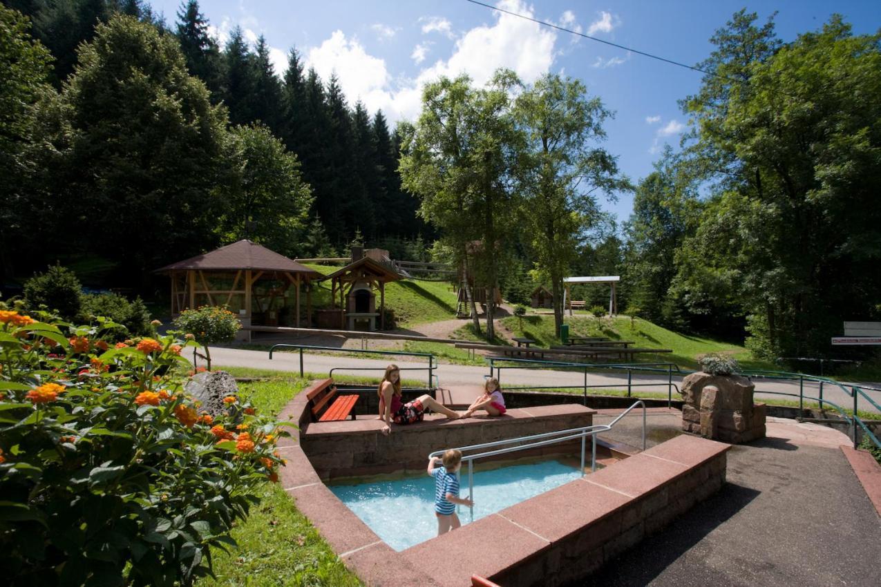 Ferienwohnung Mit Komfort Oberharmersbach Exterior foto