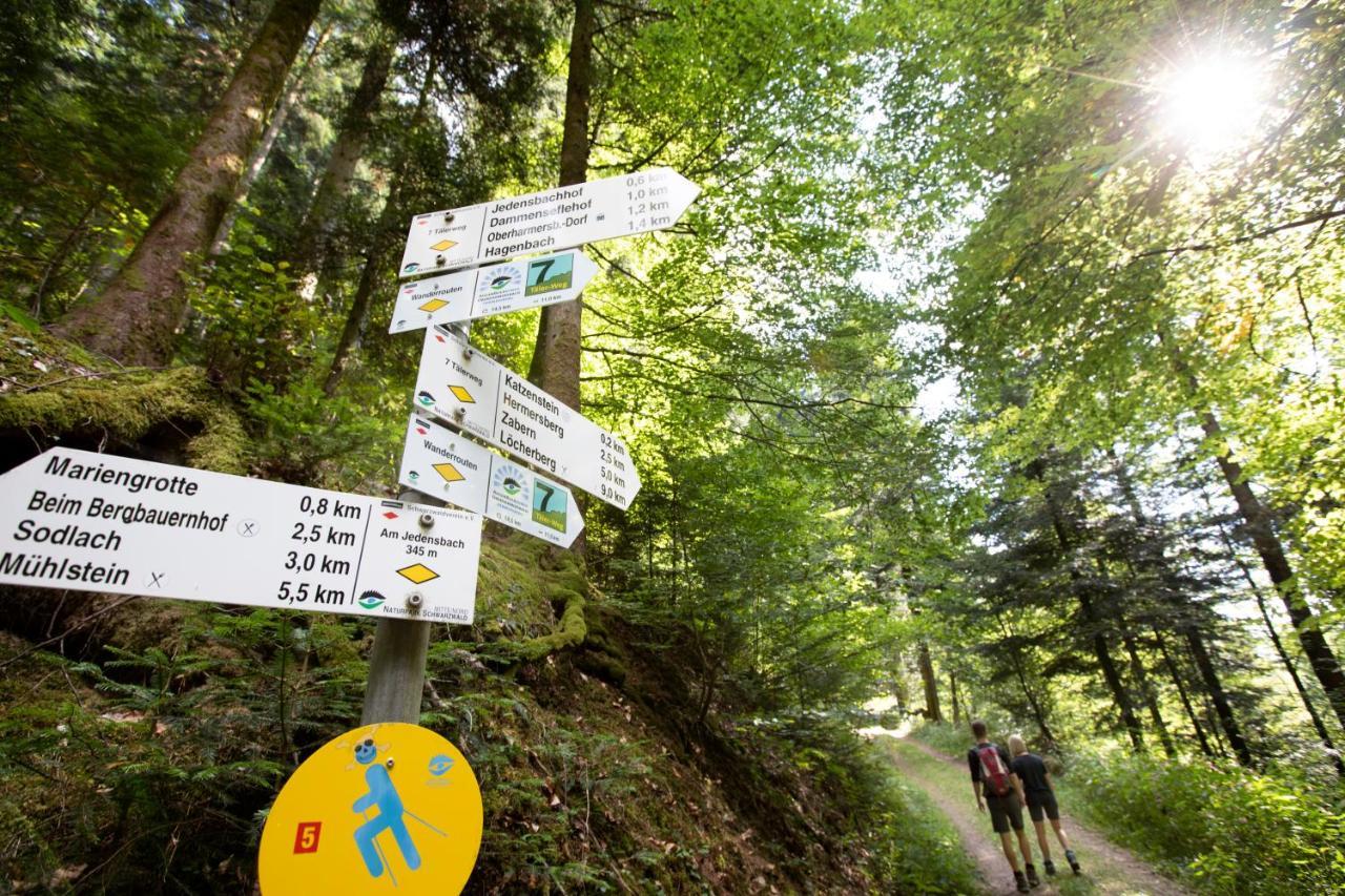 Ferienwohnung Mit Komfort Oberharmersbach Exterior foto